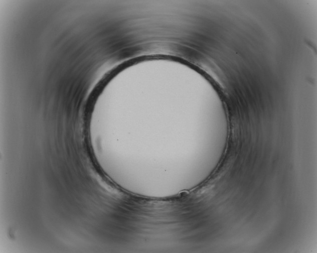 X0000097511116200803142035