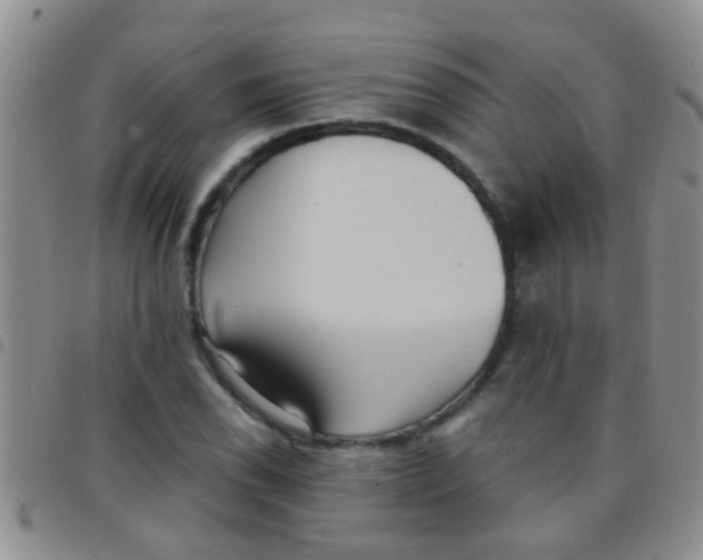 X0000097511118200803142035