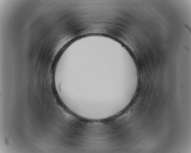 X0000097511119200803142035