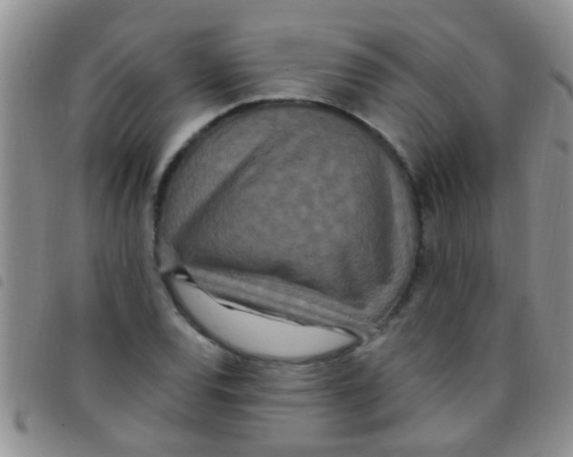 X0000097511120200803142035