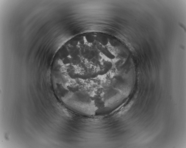 X0000097511121200803142035