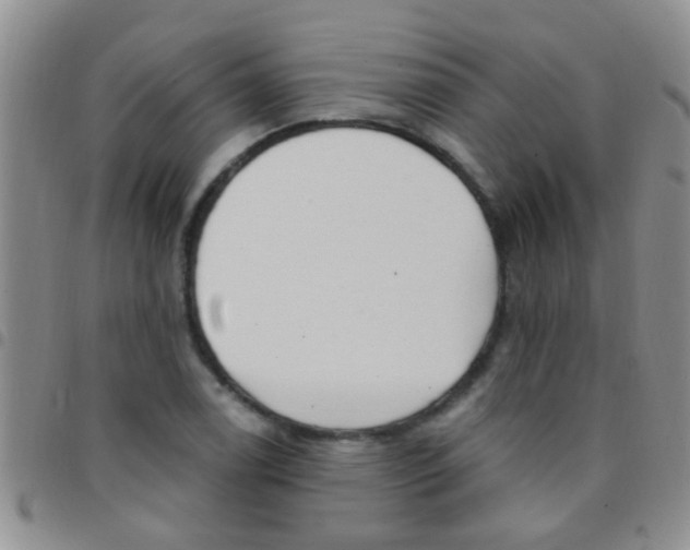 X0000097511122200803142035