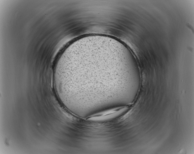 X0000097511123200803142035