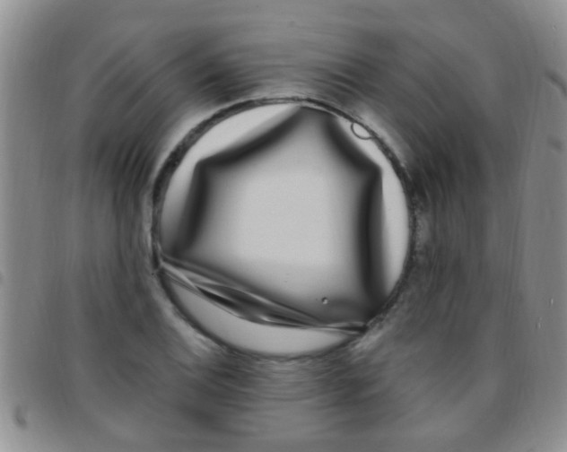 X0000097511124200803142035