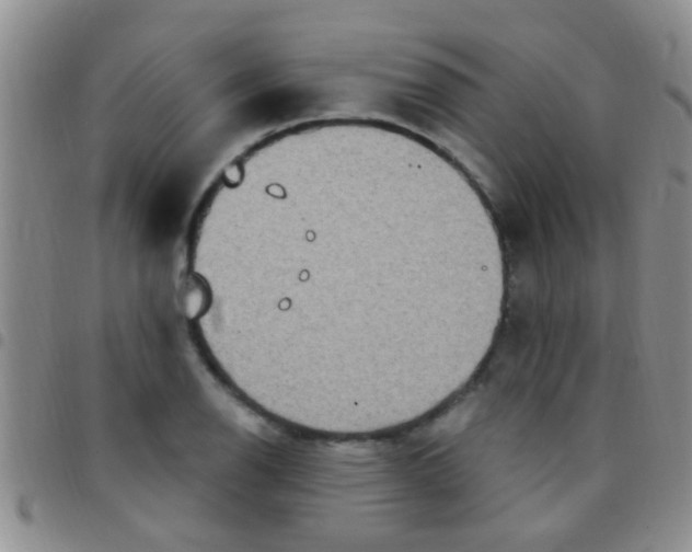 X0000097511126200803142035