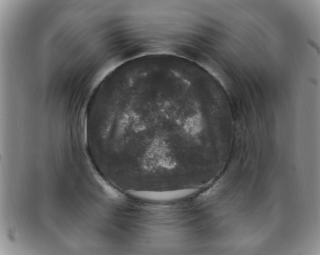 X0000097511127200803142035