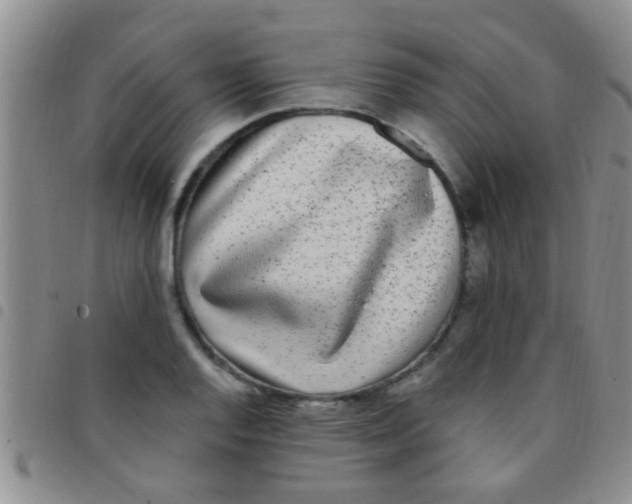 X0000097511128200803142035