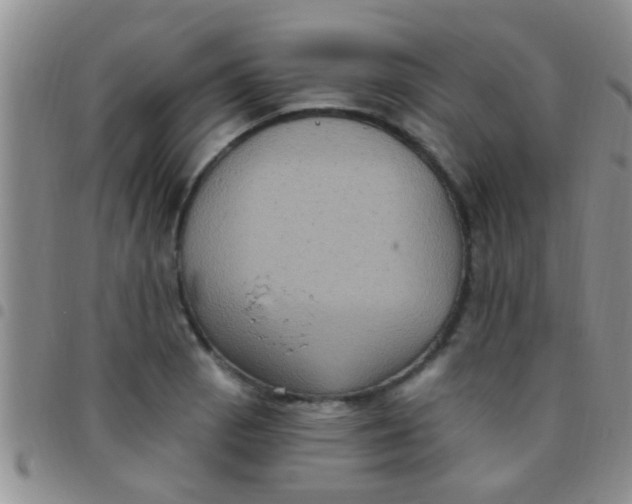 X0000097511129200803142035