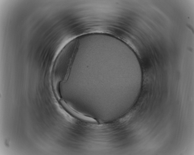 X0000097511132200803142035