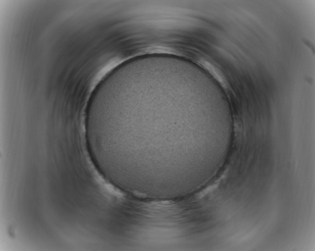 X0000097511133200803142035