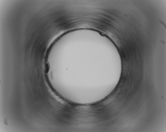 X0000097511134200803142035