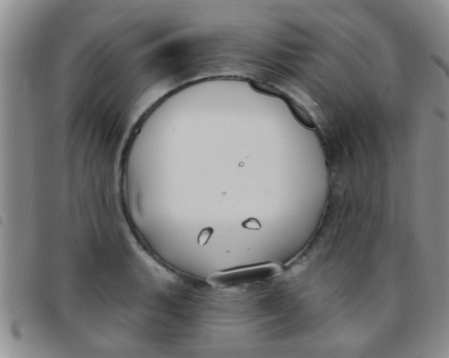 X0000097511135200803142035