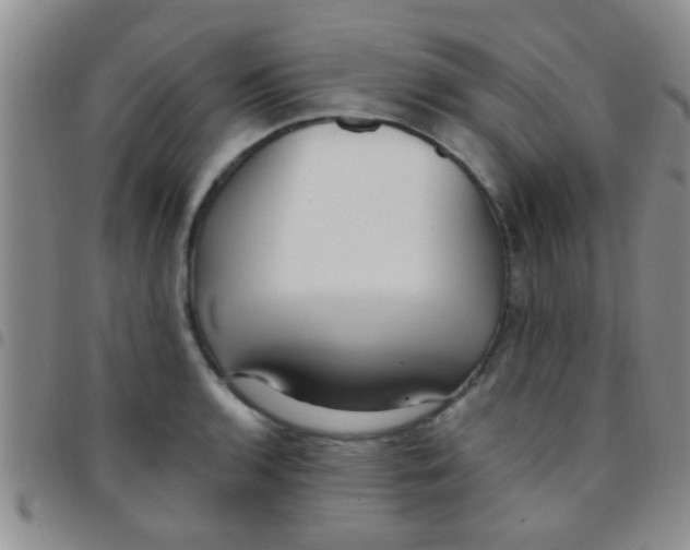 X0000097511136200803142035