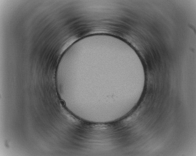 X0000097511137200803142035