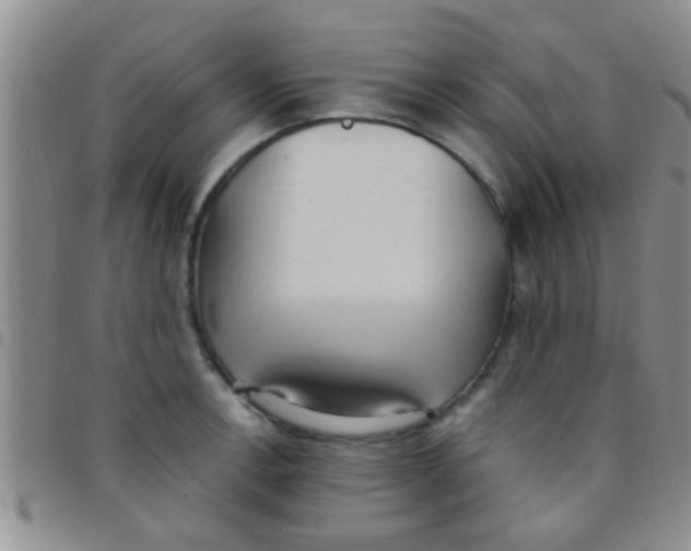 X0000097511138200803142035