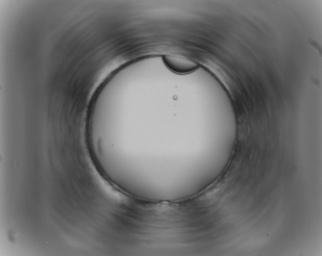 X0000097511139200803142035