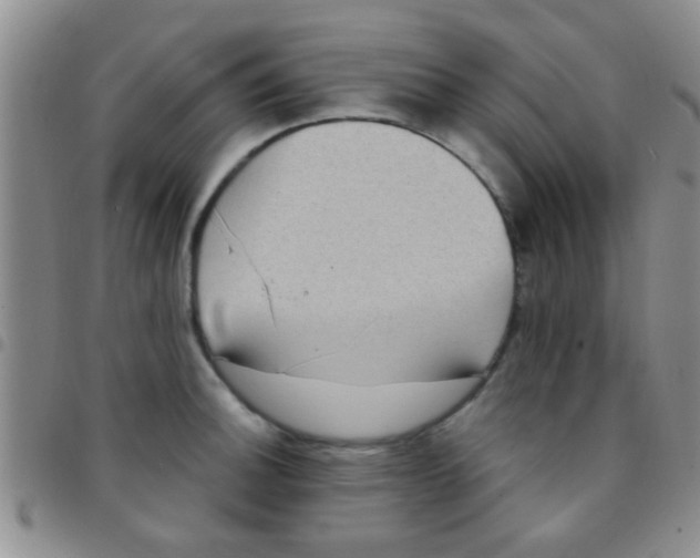 X0000097511140200803142035