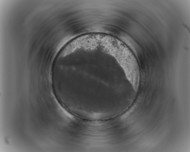 X0000097511141200803142035