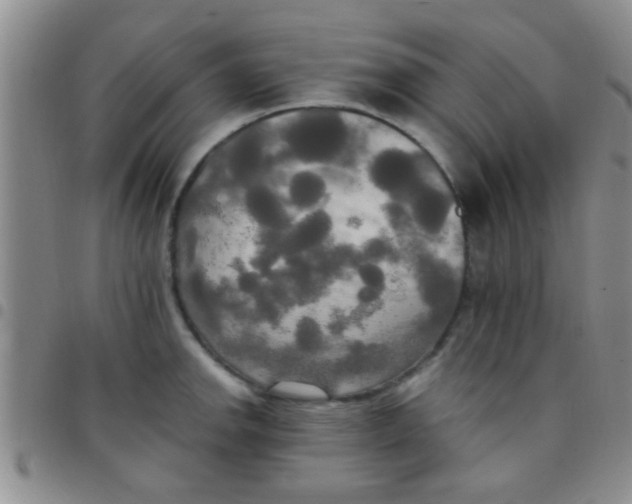 X0000097511142200803142035