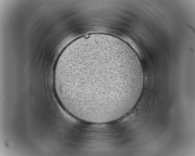 X0000097511143200803142035