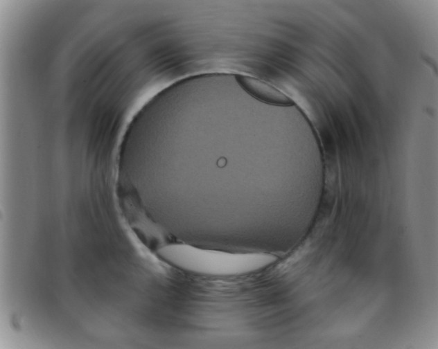 X0000097511144200803142035