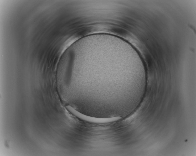 X0000097511145200803142035