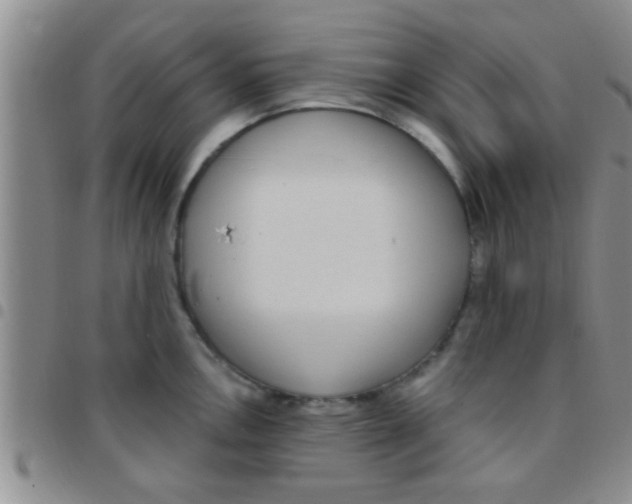 X0000097511146200803142035