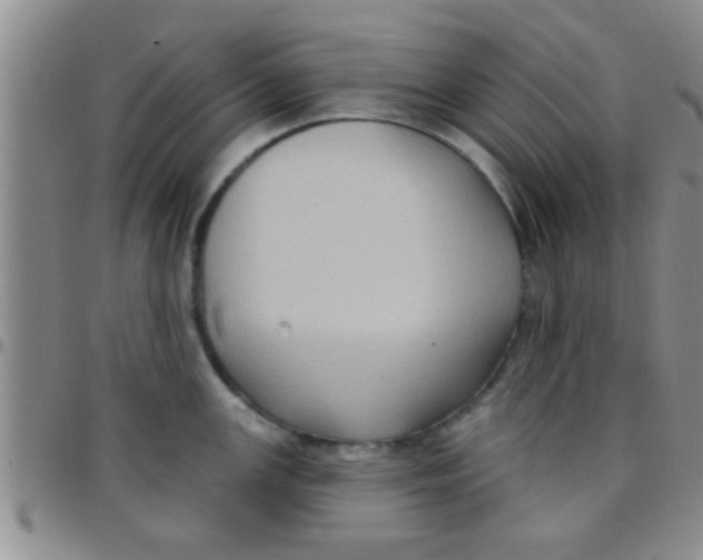 X0000097511147200803142035