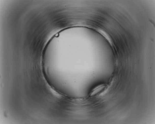 X0000097511149200803142035