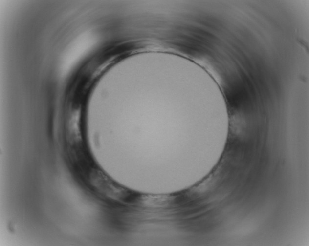 X0000097511150200803142035