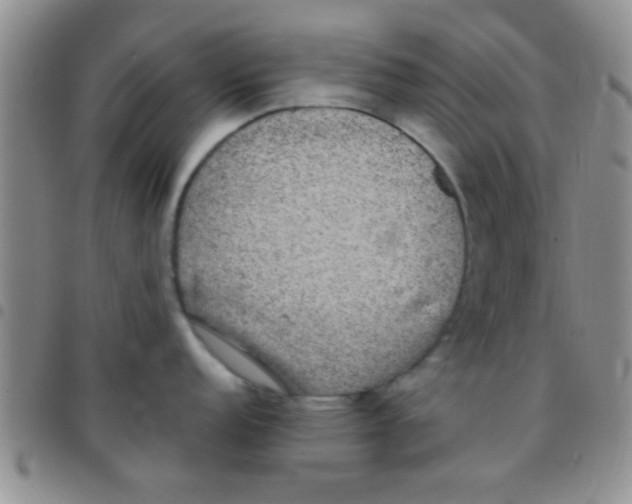 X0000097511152200803142035