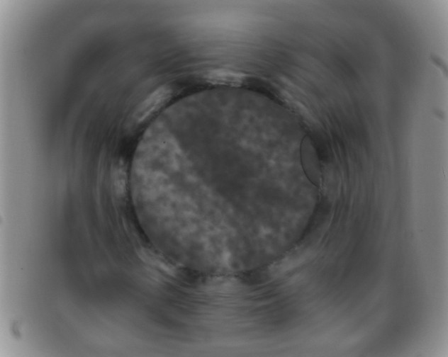 X0000097511154200803142035