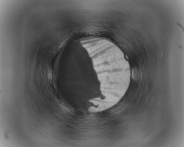 X0000097511155200803142035