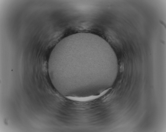 X0000097511156200803142035