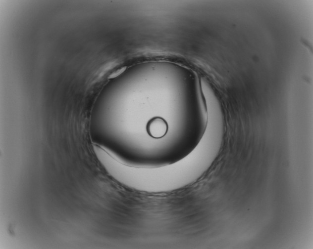 X0000097511157200803142035