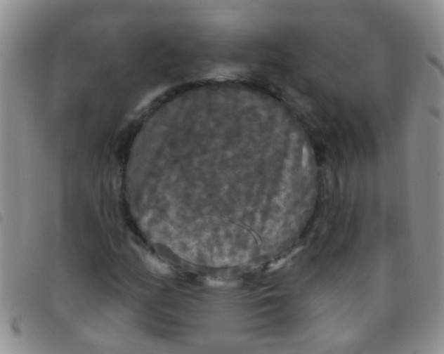 X0000097511158200803142035