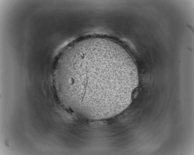 X0000097511159200803142035