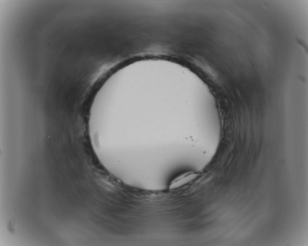 X0000097511160200803142035