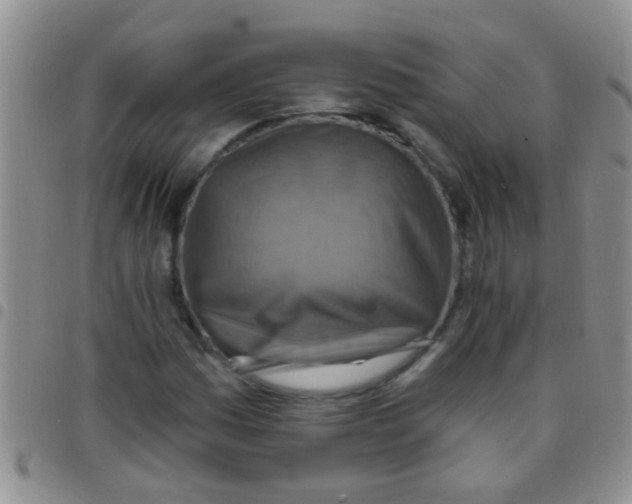 X0000097511161200803142035