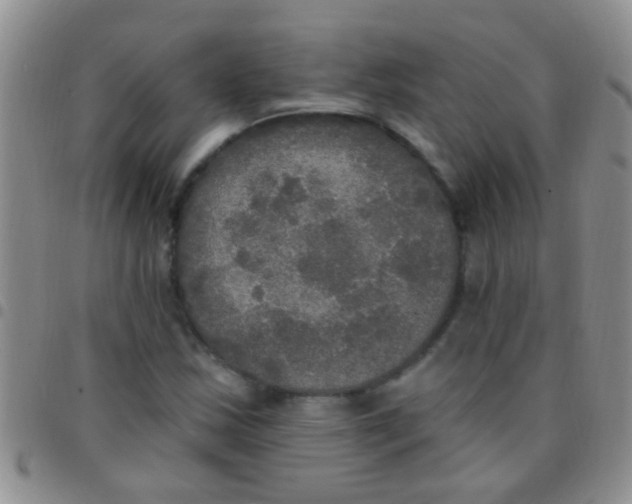 X0000097511163200803142035