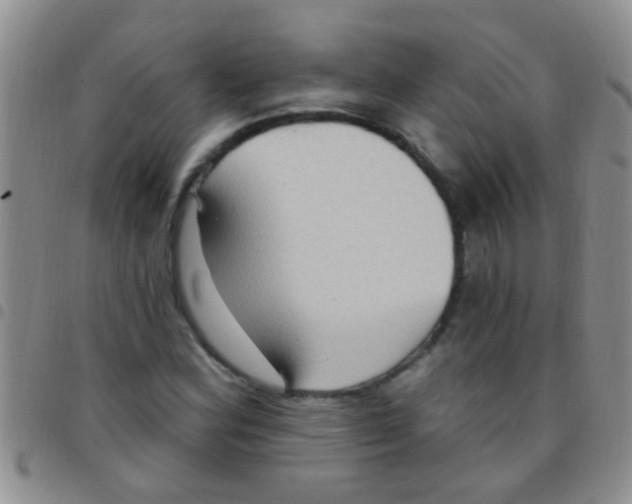 X0000097511164200803142035