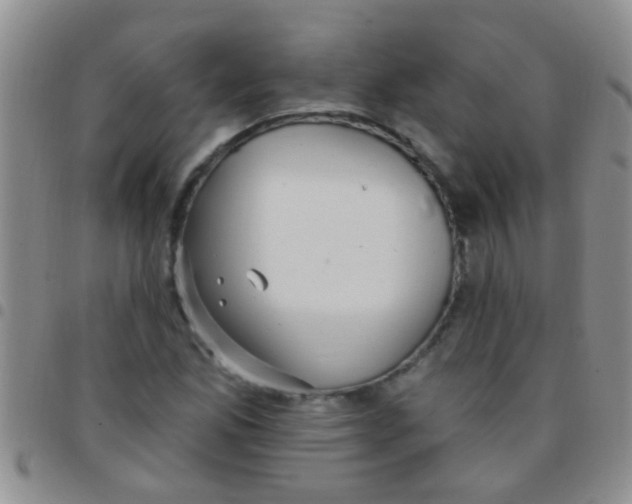 X0000097511165200803142035