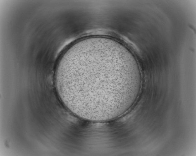 X0000097511166200803142035