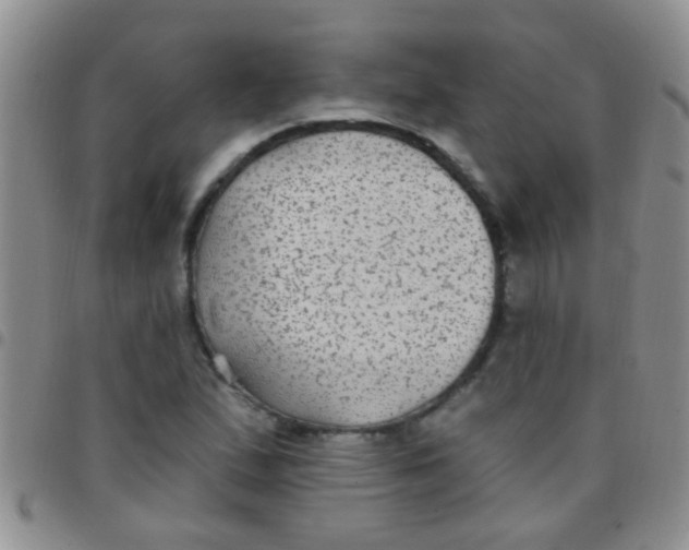 X0000097511167200803142035