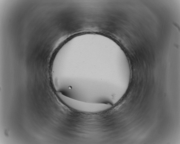 X0000097511168200803142034