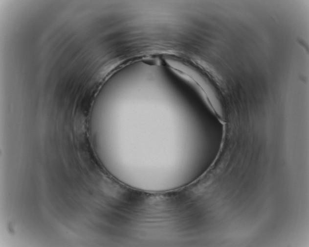 X0000097511169200803142034