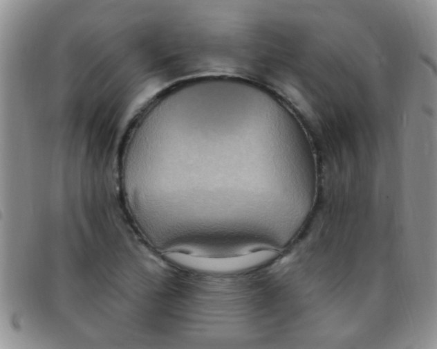 X0000097511172200803142034