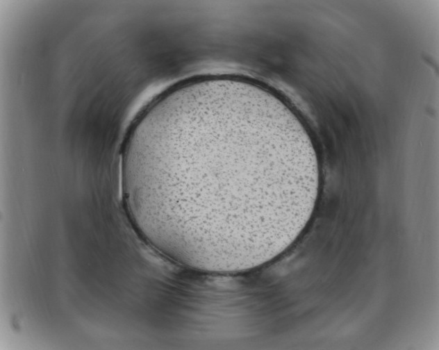 X0000097511175200803142034