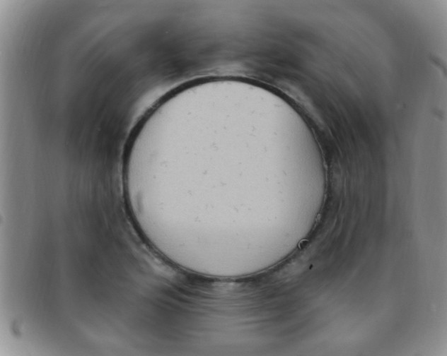 X0000097511176200803142034