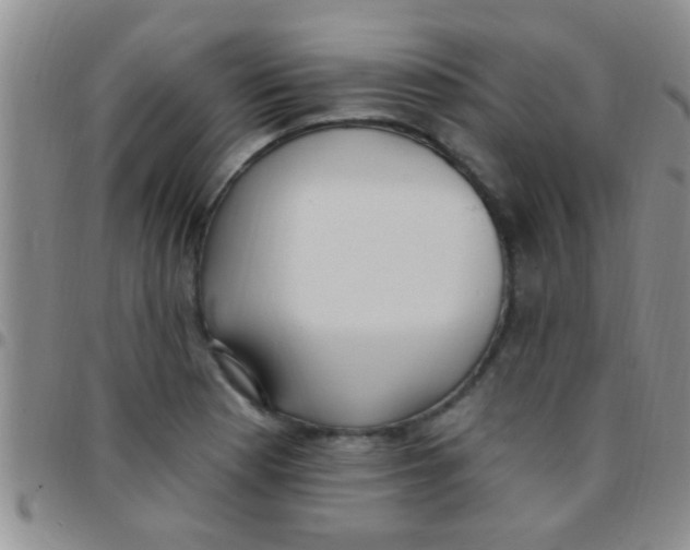 X0000097511177200803142034